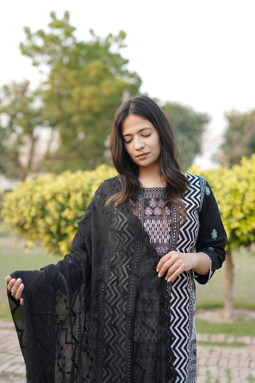 Black Shaffon Embroidered Dupatta - Check